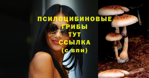 а пвп мука Аркадак