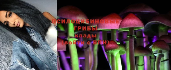 марки nbome Арсеньев