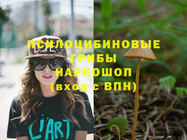 кокс Ростов