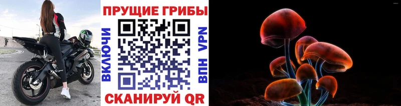 Галлюциногенные грибы Psilocybine cubensis  цена   дарк нет наркотические препараты  Томмот 