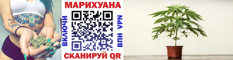МЕГА ТОР  Томмот  Марихуана AK-47 